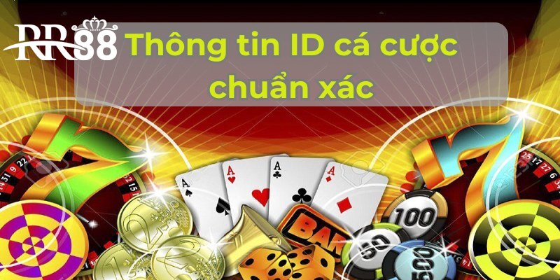 Dữ liệu tài khoản chuẩn xác tại điểm cược