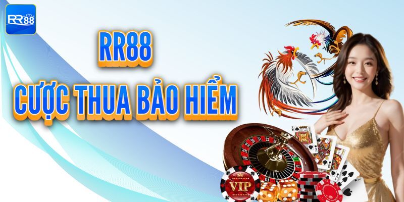 Khuyến mãi cược thua bảo hiểm cho casino - thể thao - đá gà